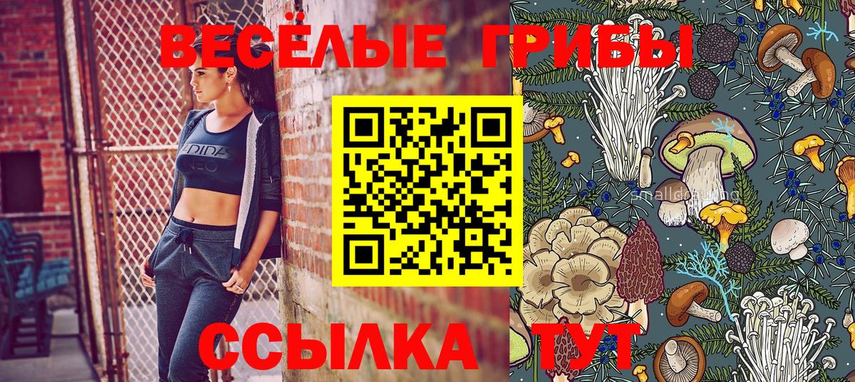 Котельники  Галлюциногенные грибы MAGIC MUSHROOMS  Вход с VPN  Галлюциногенные грибы прущие грибы 